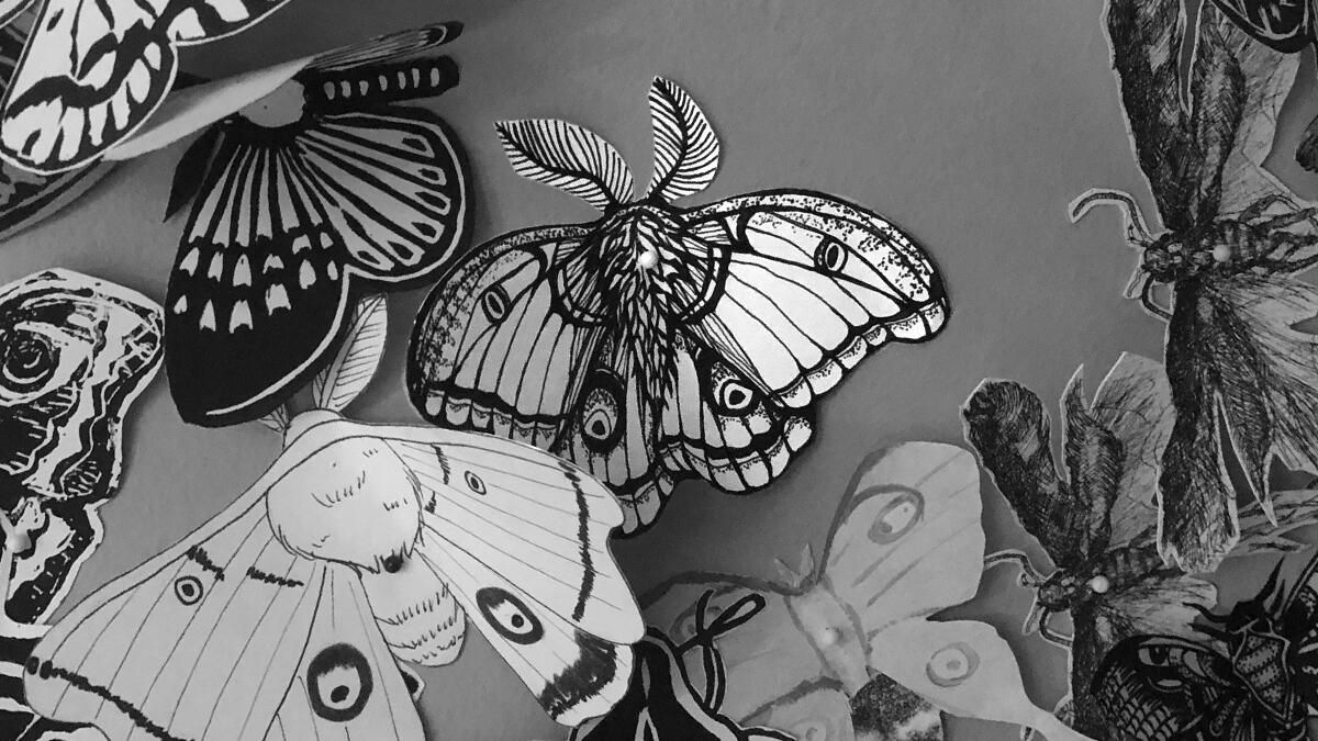 Illustrations and linocut prints created for the Moth Migration Project - a crowd-sourced exhibition of hand-printed, drawn, and cut paper moths.